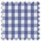 Poplin, Blue Checks