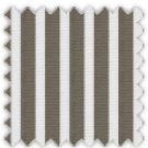 Pinpoint, Brown Stripes