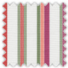 Pinpoint, Green, Pink and Red Stripes